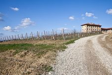 Italian Villa With Vineyard: Spring Season Royalty Free Stock Photos Italian Villa With Vineyard: Spring Season Royalty Free Stock Photos