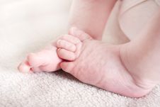 Baby Girls Feet Royalty Free Stock Photos Baby Girls Feet Royalty Free Stock Photos