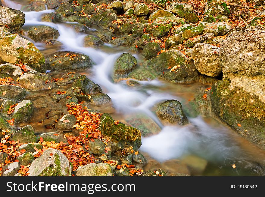 The mountain stream proceeds on the stones covered by yellow and orange autumn leaves. The mountain stream proceeds on the stones covered by yellow and orange autumn leaves