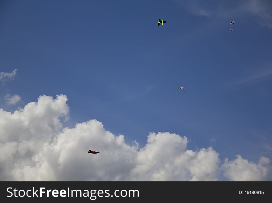 Kites flying in the clear sky