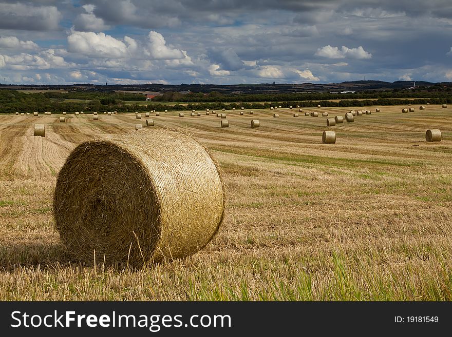 Bale of straw on a field