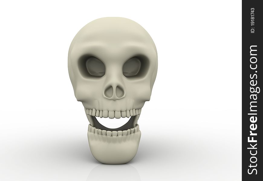 3D Human Skull a white background