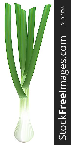 Fresh Green Onions On White Background.