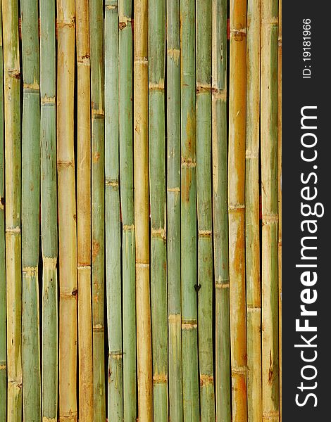 Bamboo Background