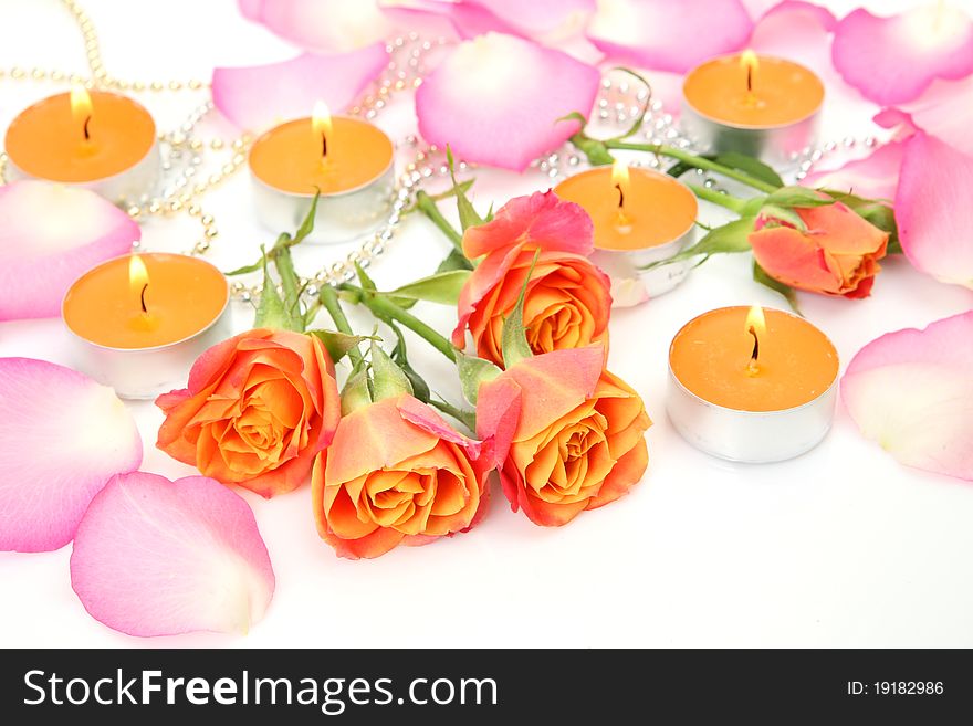 Candles and roses on a white background