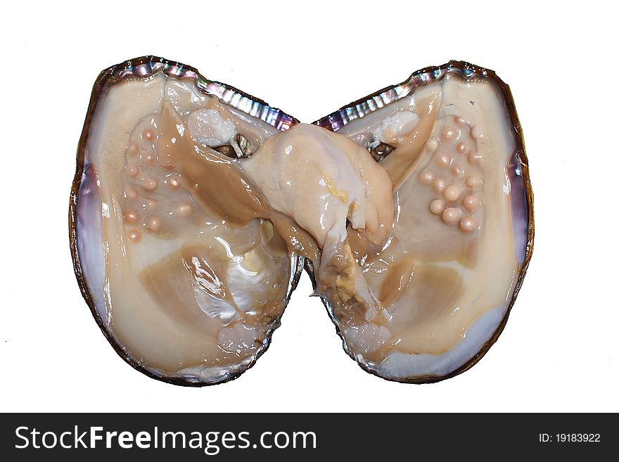 It is a opened pearl oyster