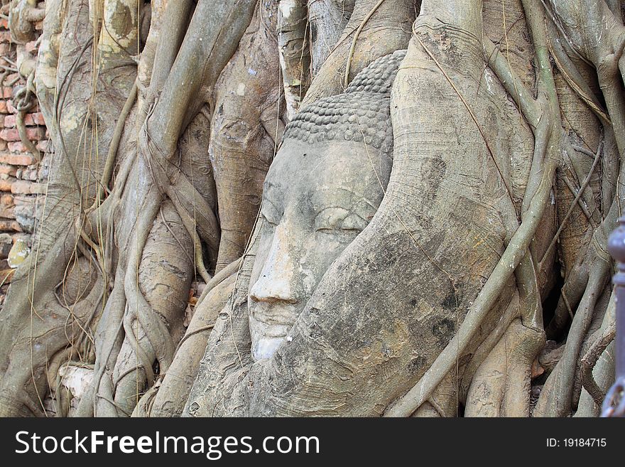 Buddha head in tree roots, Ayutthaya, Thailand