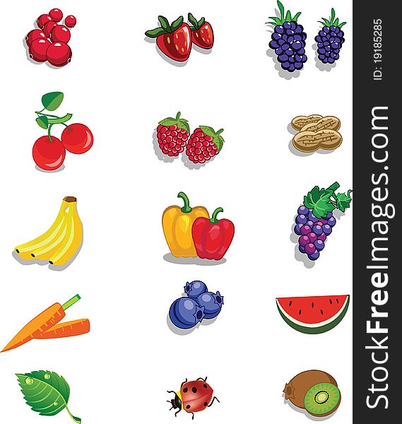 Editable vector set of different summer fruits