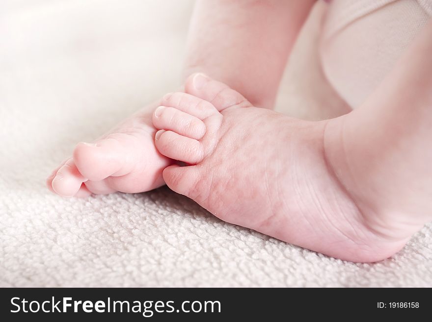 Close up macro shot of newborn babies feet. Close up macro shot of newborn babies feet