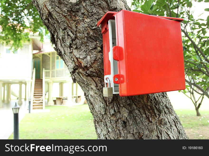 Red mailbox, A red mailbox hanging on a tree.