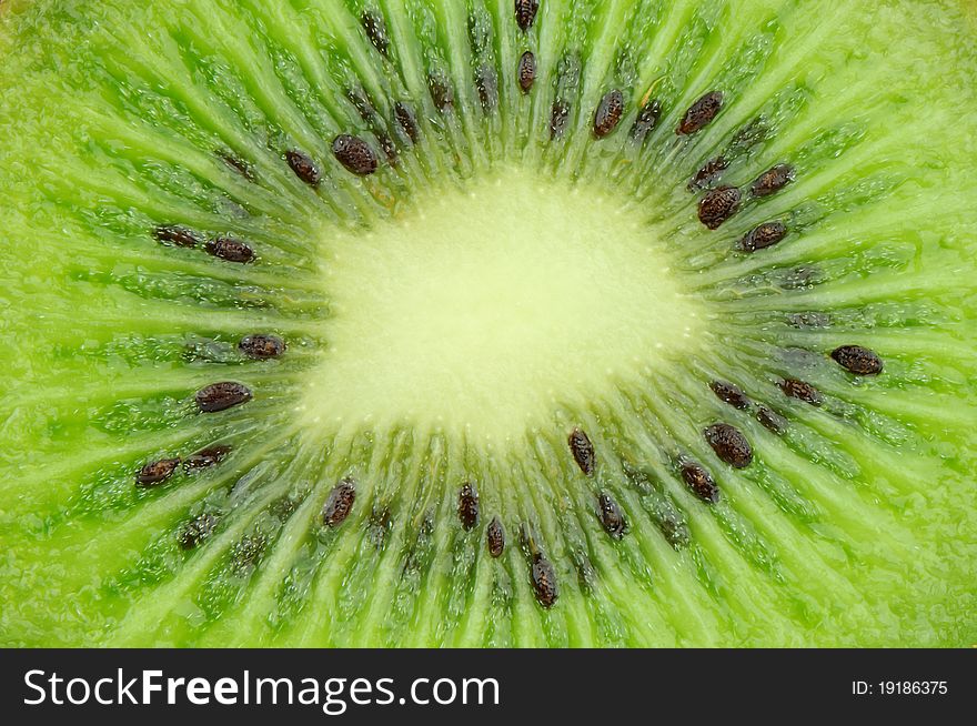 Close up of A kiwi fruit