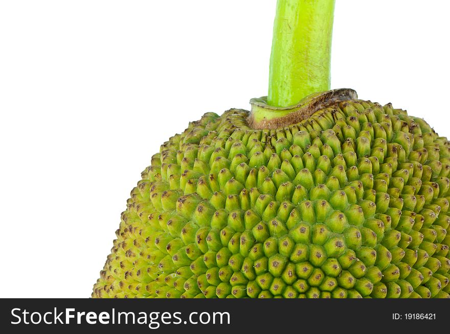 Close up of green jackfruit on white background