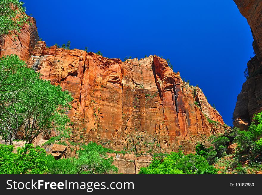 Sheer Cliffs At Zion NP