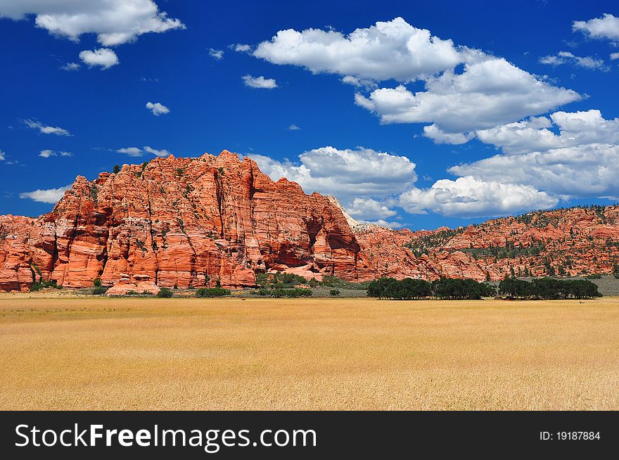 Wheat fields at Zion NP