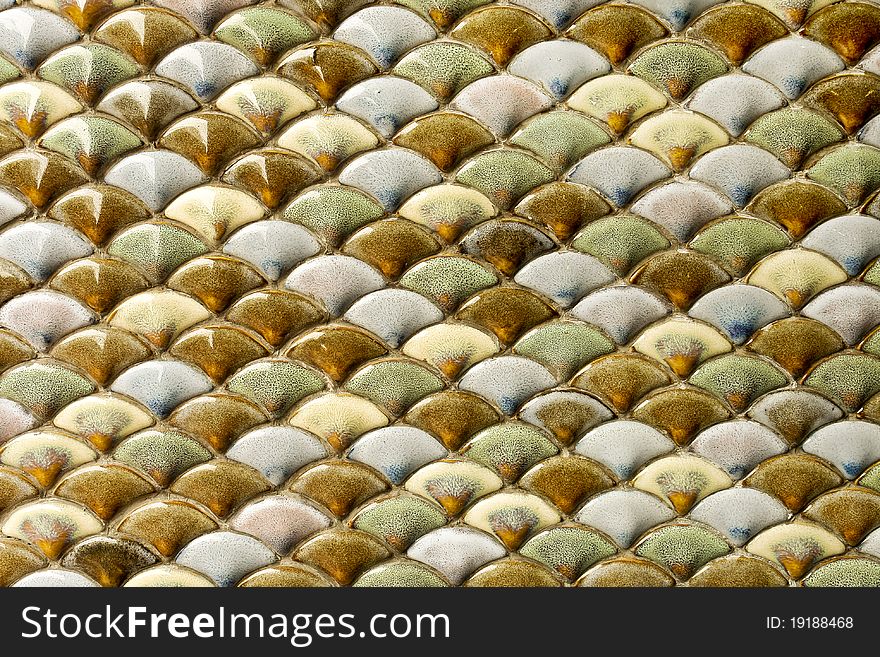 Shell mosaic background