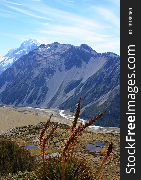 A Golden Spaniard over unnamed tarns and Mt Cook. Hooker Valley, New Zealand. A Golden Spaniard over unnamed tarns and Mt Cook. Hooker Valley, New Zealand.