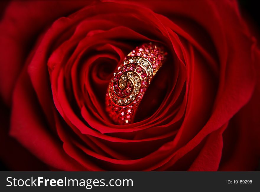 Ring with diamonds in a red Rose close up (macro)