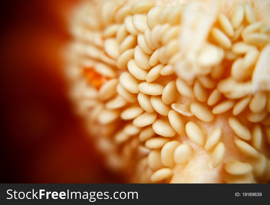 Seeds of pepper close up extreme macro