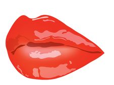 Female Lips. Female Lips With Red Lipstick Stock Photo Female Lips. Female Lips With Red Lipstick Stock Photo