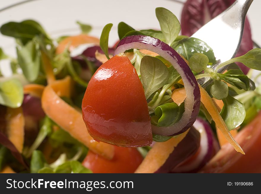 Mixed seasonal salad with onions tomato carrots. Mixed seasonal salad with onions tomato carrots