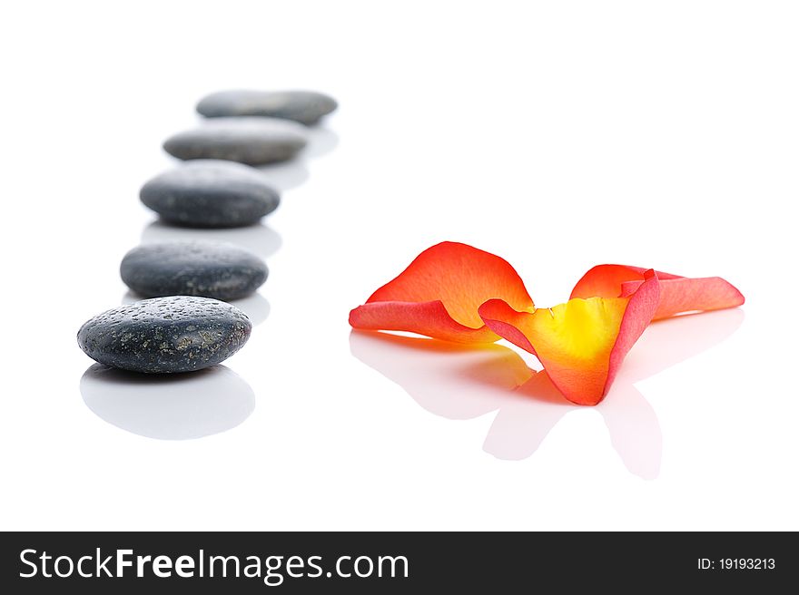 Row of pebbles and  3 rose petals  on white background. Row of pebbles and  3 rose petals  on white background