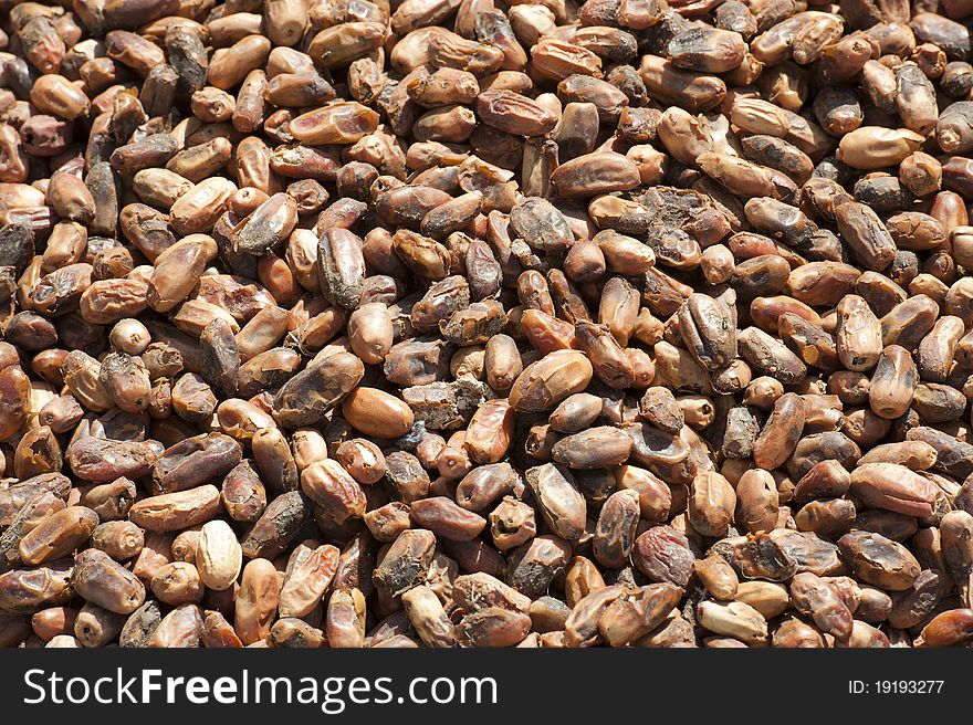 Large pile of dates drying in the sun making a background wallpaper. Large pile of dates drying in the sun making a background wallpaper