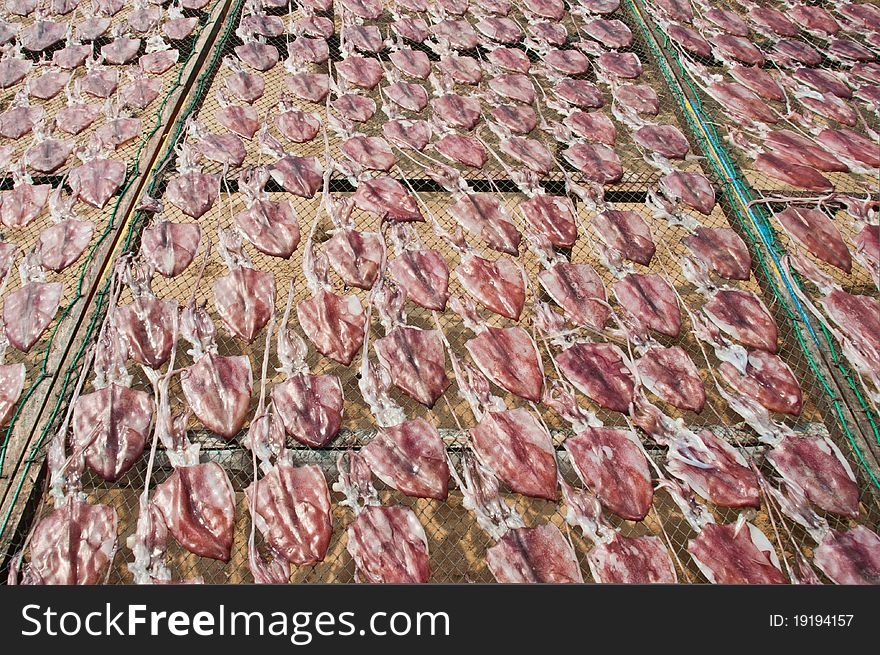 Dried squid in thailand,prajinburi