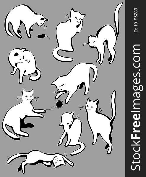 The complete set of white cats.