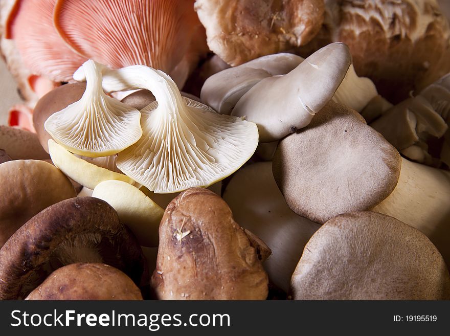 Close-up of exotic mushrooms as a food background.