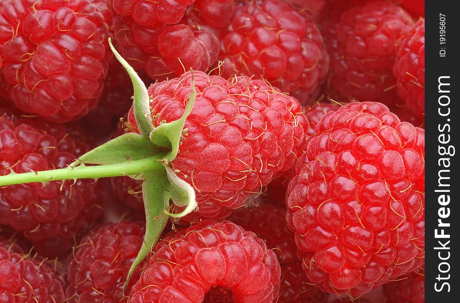 Macro of fresh  Summer raspberries