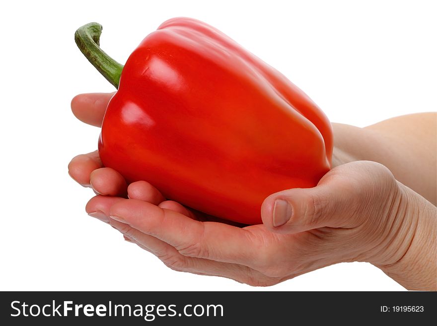 Large Red Bell Pepper On White