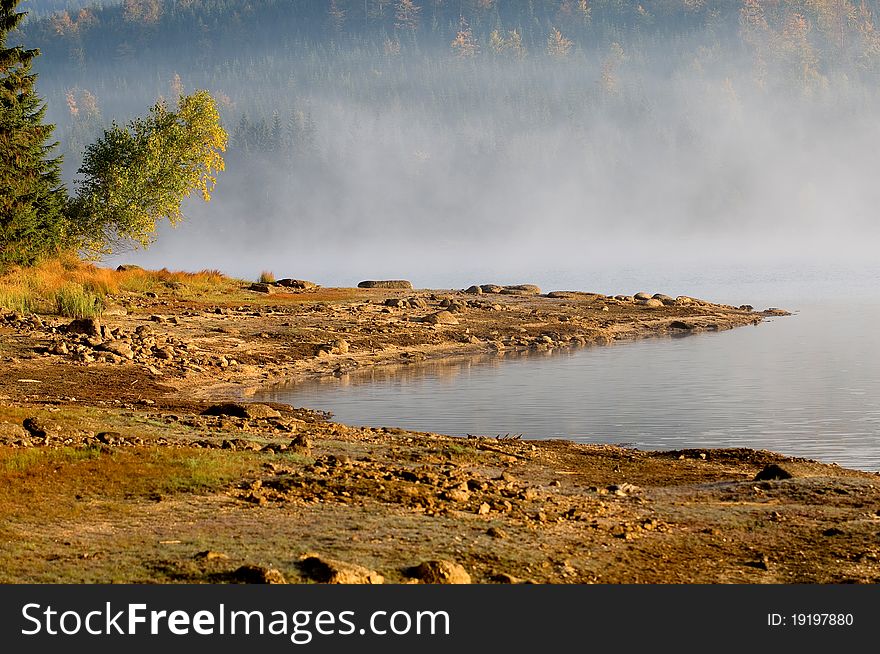 Lake in Deep Forest