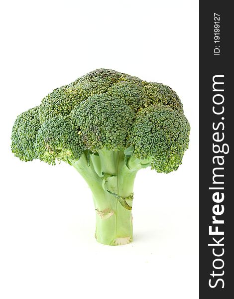 Head of broccoli on white background