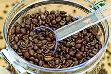Coffee Beans Stock Images Coffee Beans Stock Images