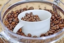 Coffee Beans Stock Photography Coffee Beans Stock Photography