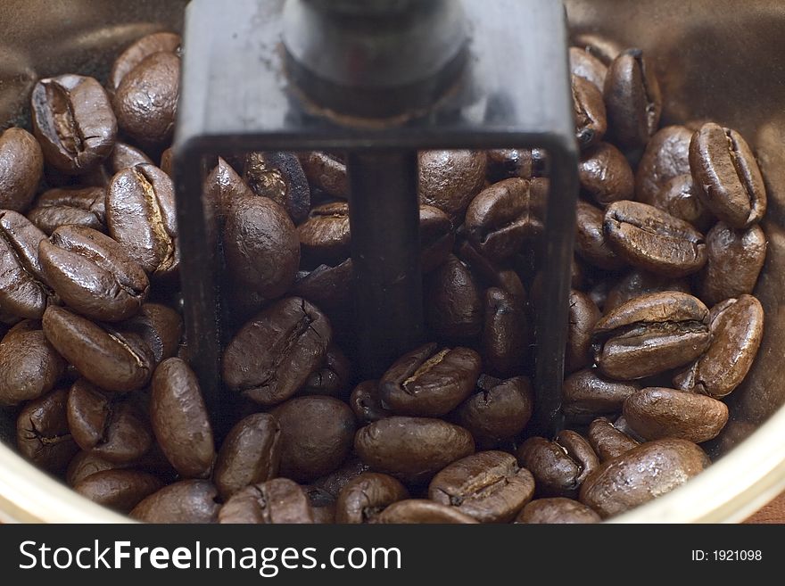 A close up of coffee beans in a grinder. A close up of coffee beans in a grinder