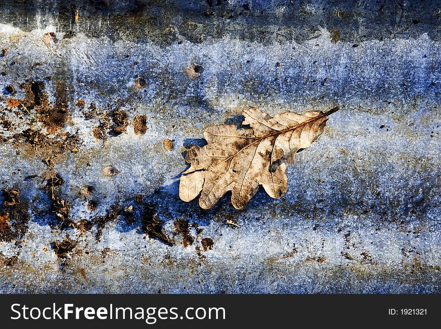 Dead leaf on rusting corrugated steel. Dead leaf on rusting corrugated steel