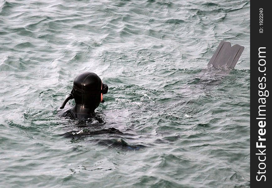 Scuba diver in Monterey Bay, California