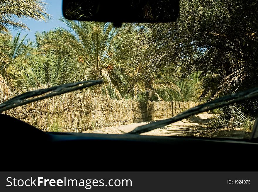 Diving car through oasis, photo from inside. Diving car through oasis, photo from inside