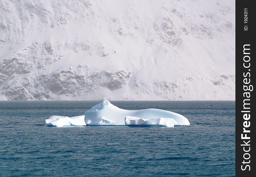 A Iceberg floating in Cumberland Bay, South Georgia