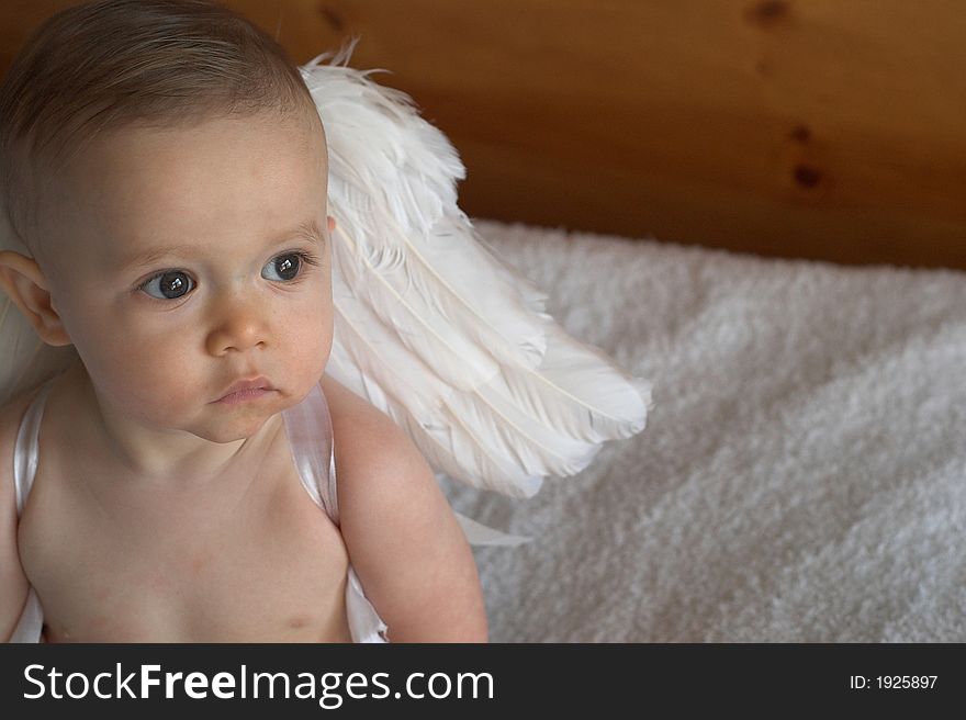 Image of baby wearing angel wings. Image of baby wearing angel wings