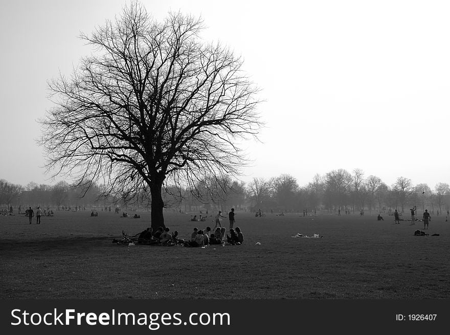 People relaxing and enjoying themself in clapham common, london, uk. People relaxing and enjoying themself in clapham common, london, uk.