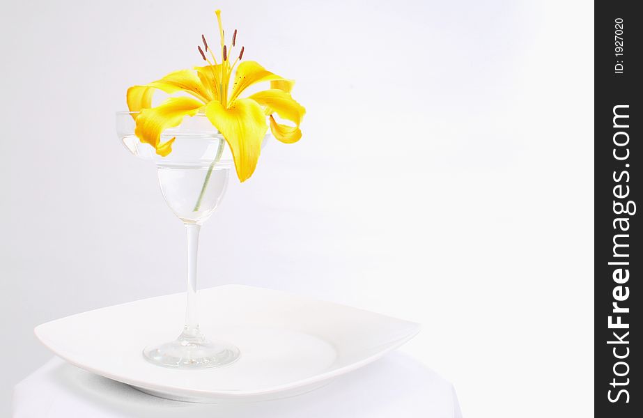 Bright yellow lily in a margarita glass on a white plate. Bright yellow lily in a margarita glass on a white plate