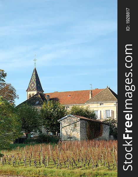 Rows of vine in front of a church in autumn landscape with mountain. Rows of vine in front of a church in autumn landscape with mountain