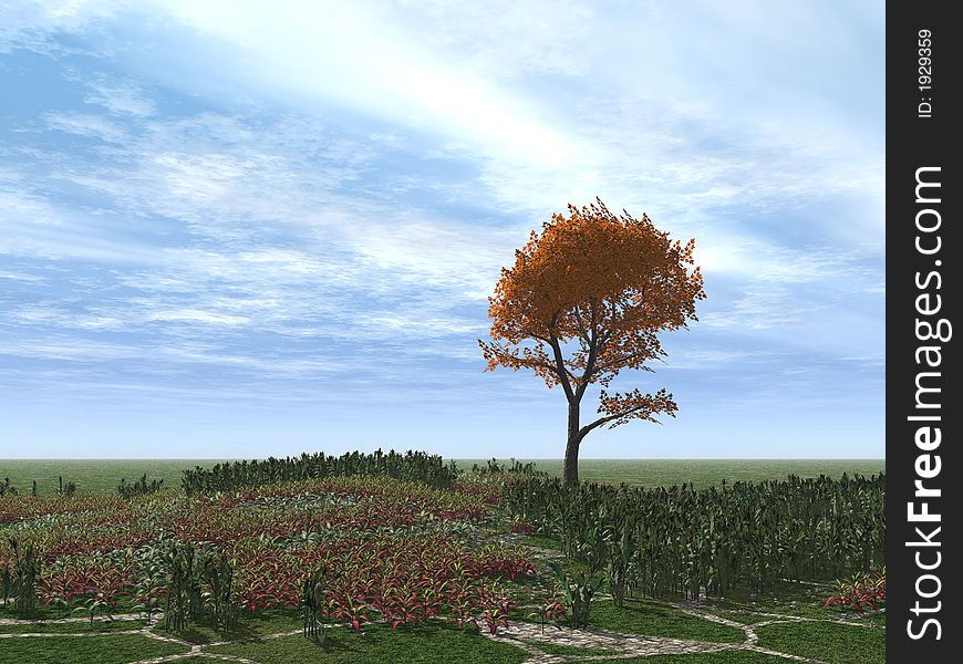 Tree with white leaves alone standing on a field on a background of the sky. Tree with white leaves alone standing on a field on a background of the sky