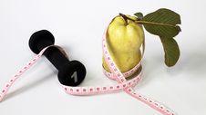 Guava Fruit Size Tape Measure Stock Photo Guava Fruit Size Tape Measure Stock Photo