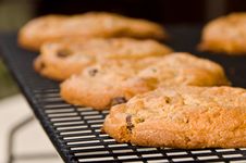 Chocolate Chip Cookies Royalty Free Stock Images Chocolate Chip Cookies Royalty Free Stock Images