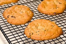 Chocolate Chip Cookies Stock Photo Chocolate Chip Cookies Stock Photo