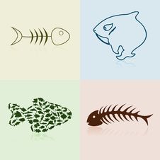 Collection Of Fishes Stock Photography Collection Of Fishes Stock Photography