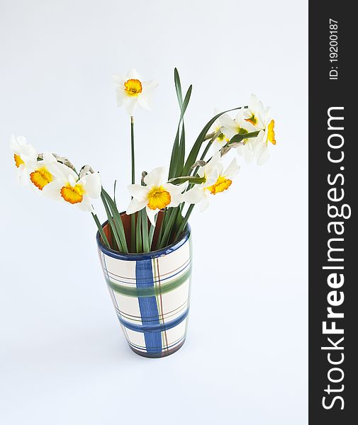 Narcissus in vase